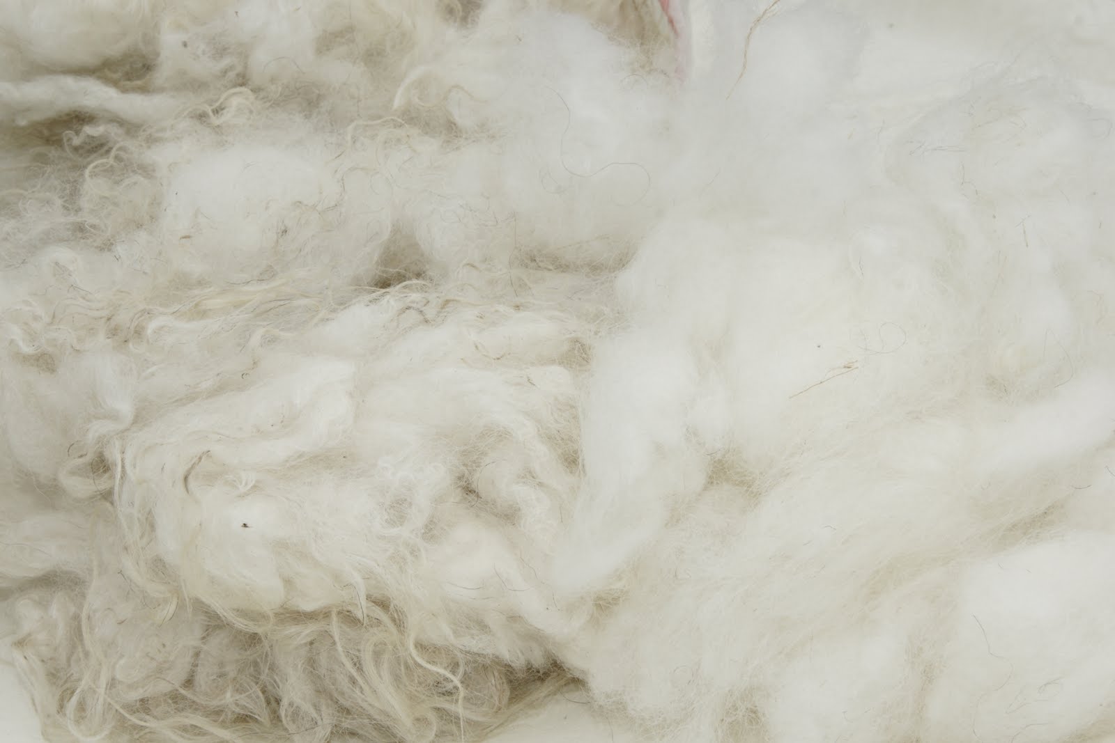 Kaelie's Farm Wool for Sale