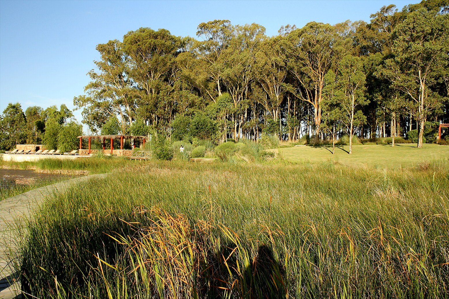 View from Federal Twist Juan Grimm a garden in Uruguay