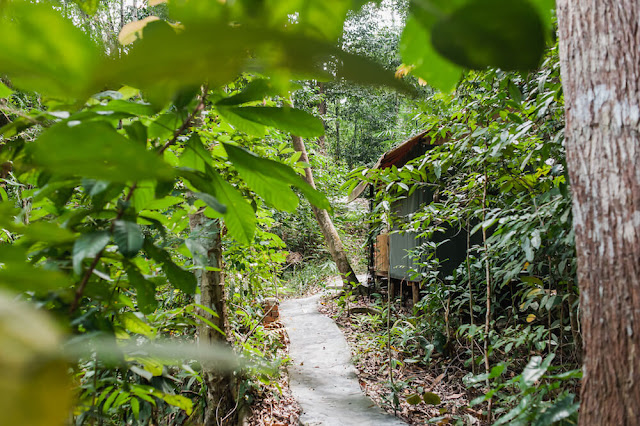 The Sticks Eco-Resort Khas buat mereka yang ingin lari dari kesibukan kota!