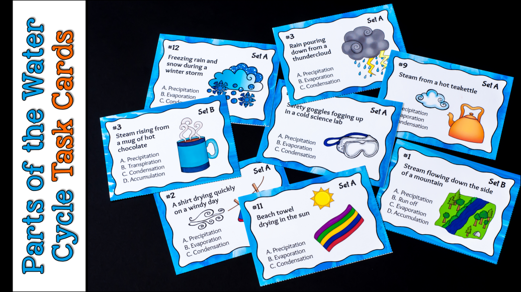 Corkboard Connections: Hands-on Water Cycle Fun!