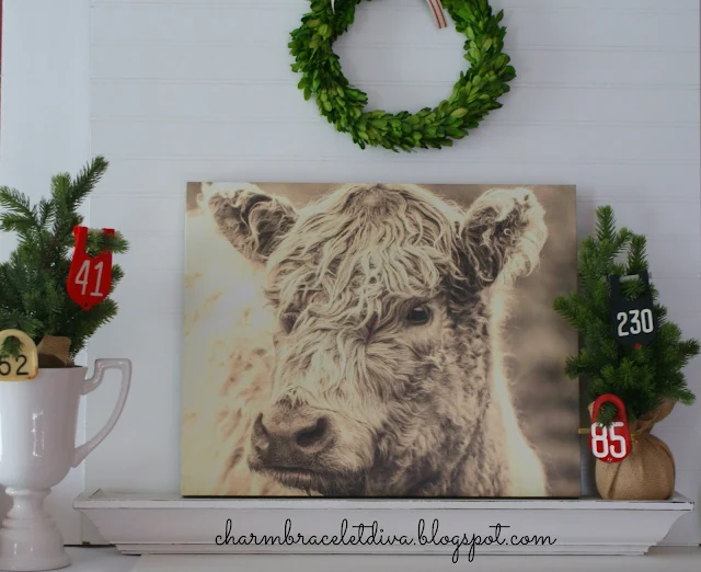 Farmhouse Scottish Highland cow tag wall art canvas