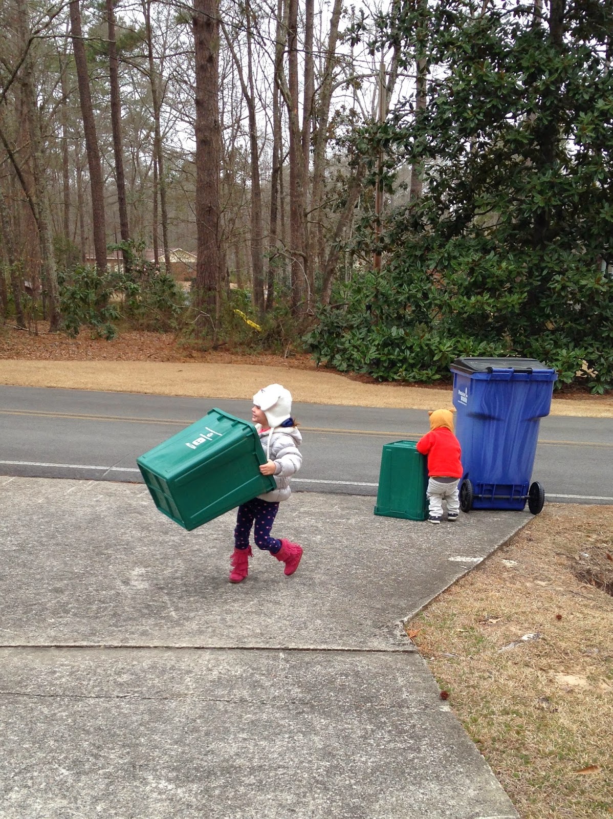 Evergreen Drive Recycling Pick up Day evergreen-drive-recycling-pick-up-day