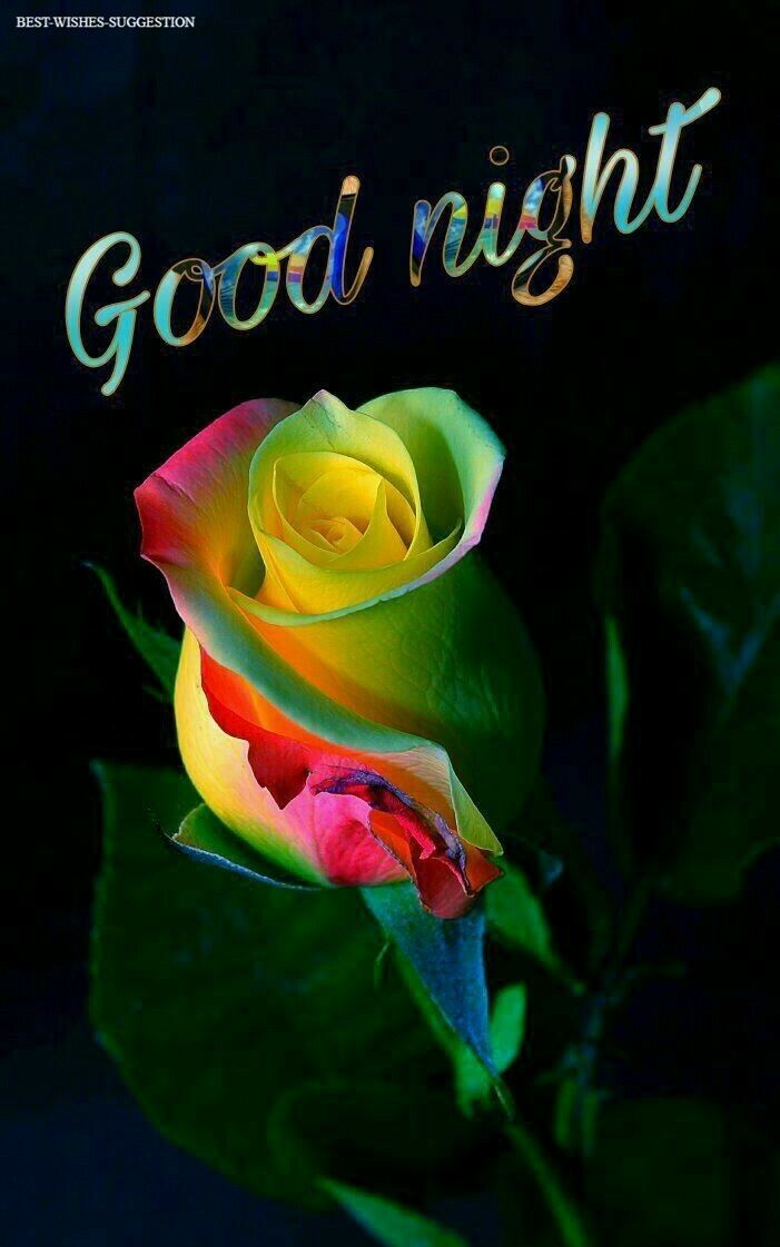 good night cute images