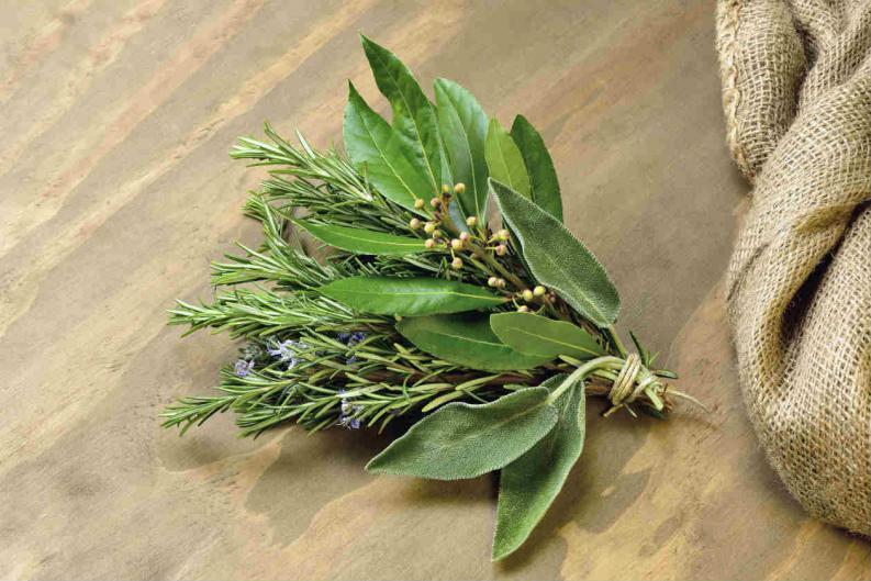 Ritual para atraer el dinero y la buena suerte con laurel y romero