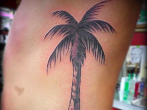 tattoo gallery for men palm tree tattoo tattoo gallery for men palm tree tattoo