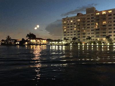 Google Photos makes animated gifs