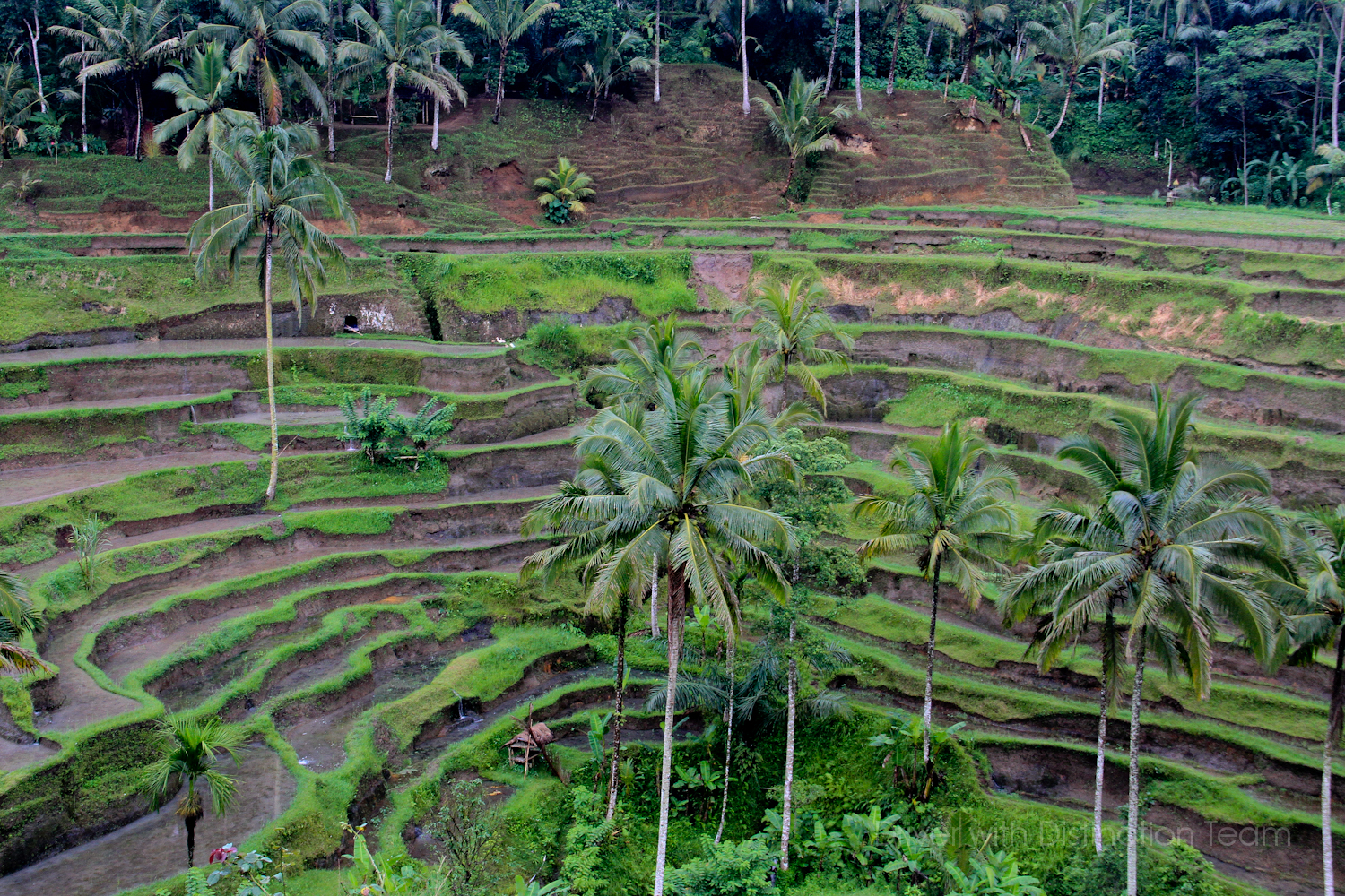 Bali with Kasa Made Bali: Central Bali