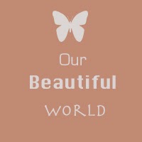  http://our--beautiful--world--365.blogspot.com.au/