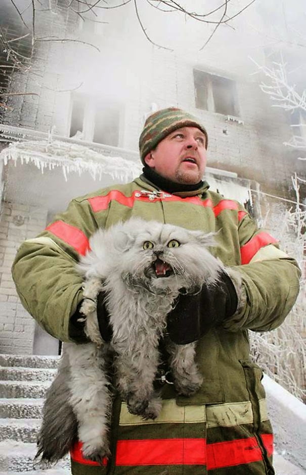 20+ Photos That Will Restore Your Faith In Humanity - Russian Firefighter Saving A Cat