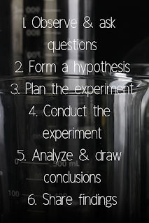 Steps of the scientific method image:
1. observe and ask questions
2. form a hypothesis
3. plan the experiment
4. conduct the experiment
5. analyze and draw conclusions
6. share findings