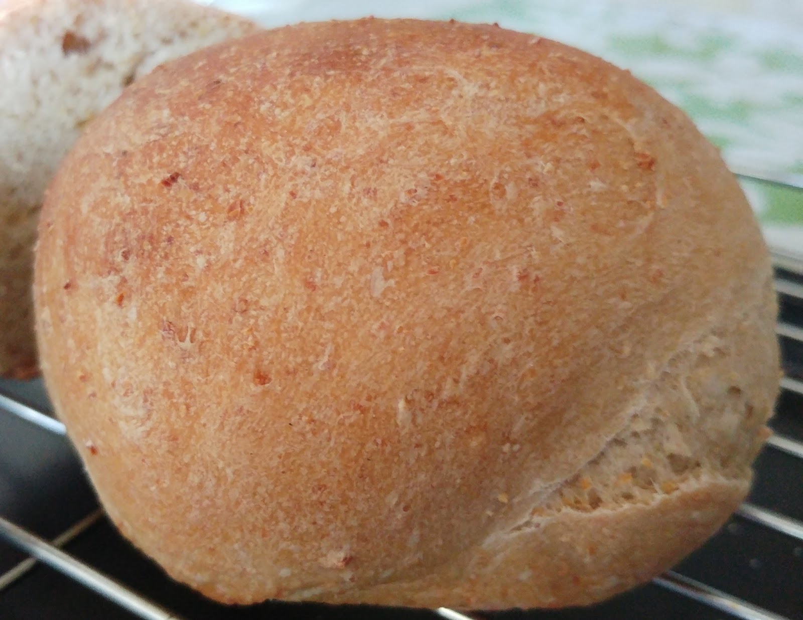 Bread Experiments Chapter 6 Overnight Poolish vs Weekold Poolish