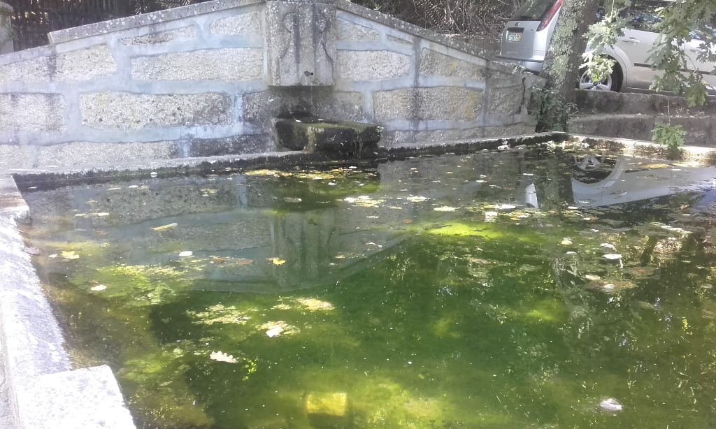 Poço com água verde Poço com água verde