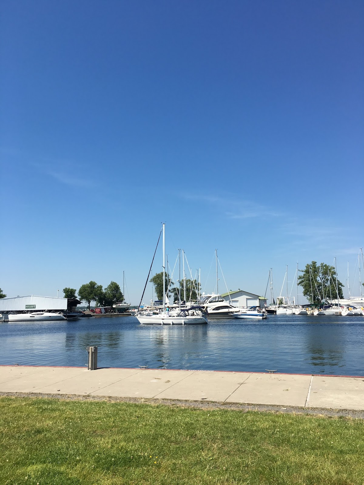 bichonpawz Seeing Beautiful The Sackets Harbor Edition