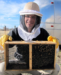 hives coops boulder thompson eric posted am