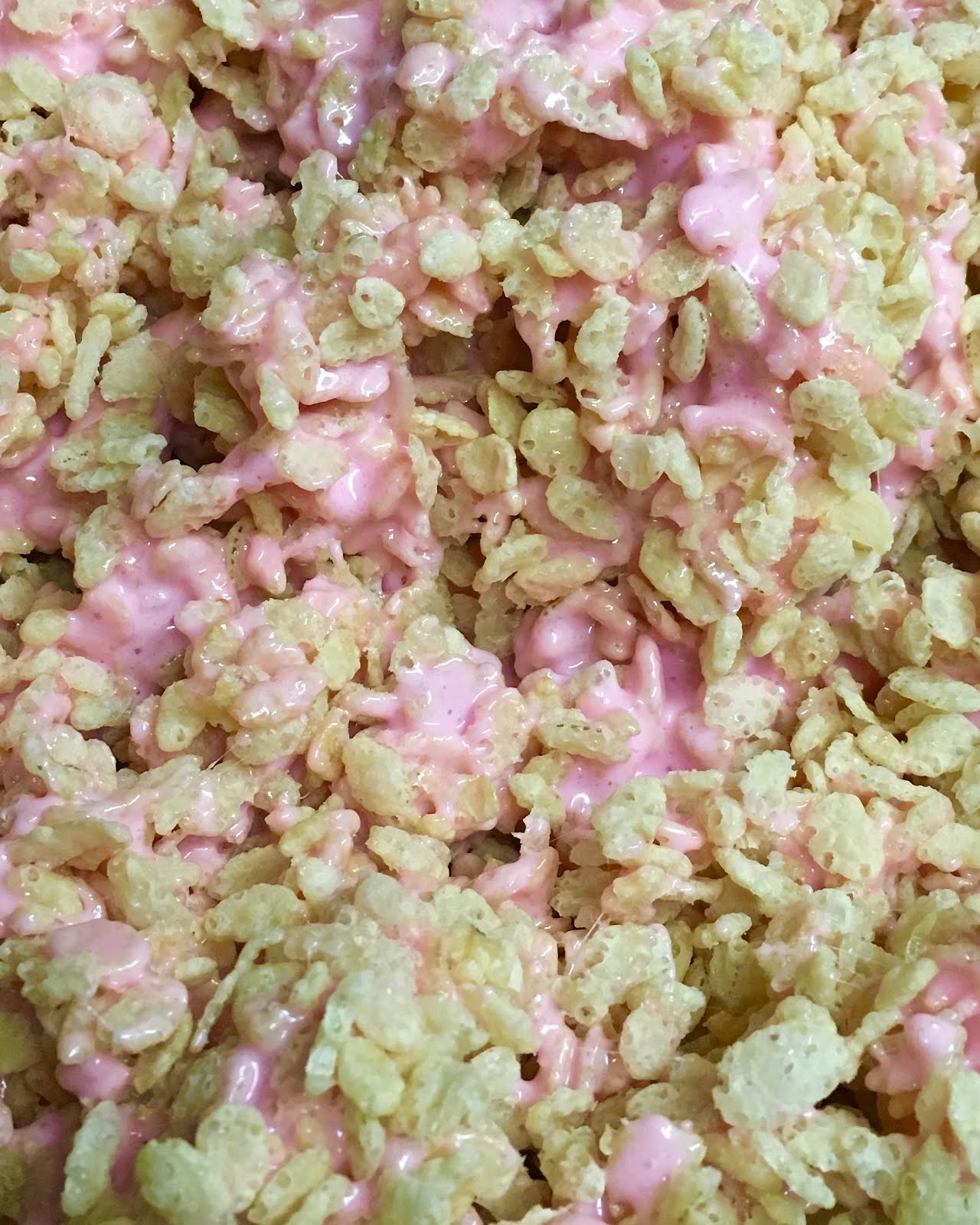 Cottage Garden 8 8 16