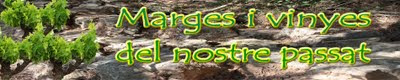 MARGES I VINYES DEL NOSTRE PASSAT