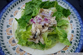 http://www.farmfreshfeasts.com/2013/06/slow-cooker-greek-chicken-tacos.html
