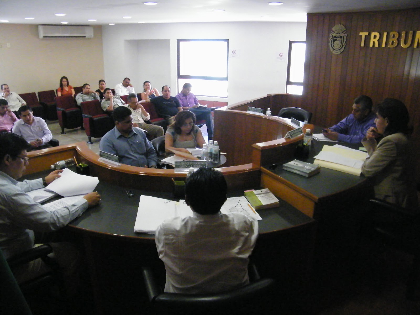 TRIBUNAL ELECTORAL DEL ESTADO