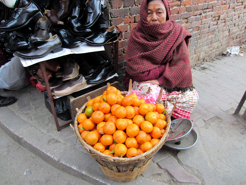 Lists of most common fruits of Nepal (NepaliEnglish)
