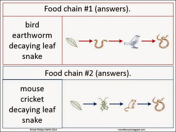 Nyla's Crafty Teaching: How to Make a Food Web - A Complete Guide