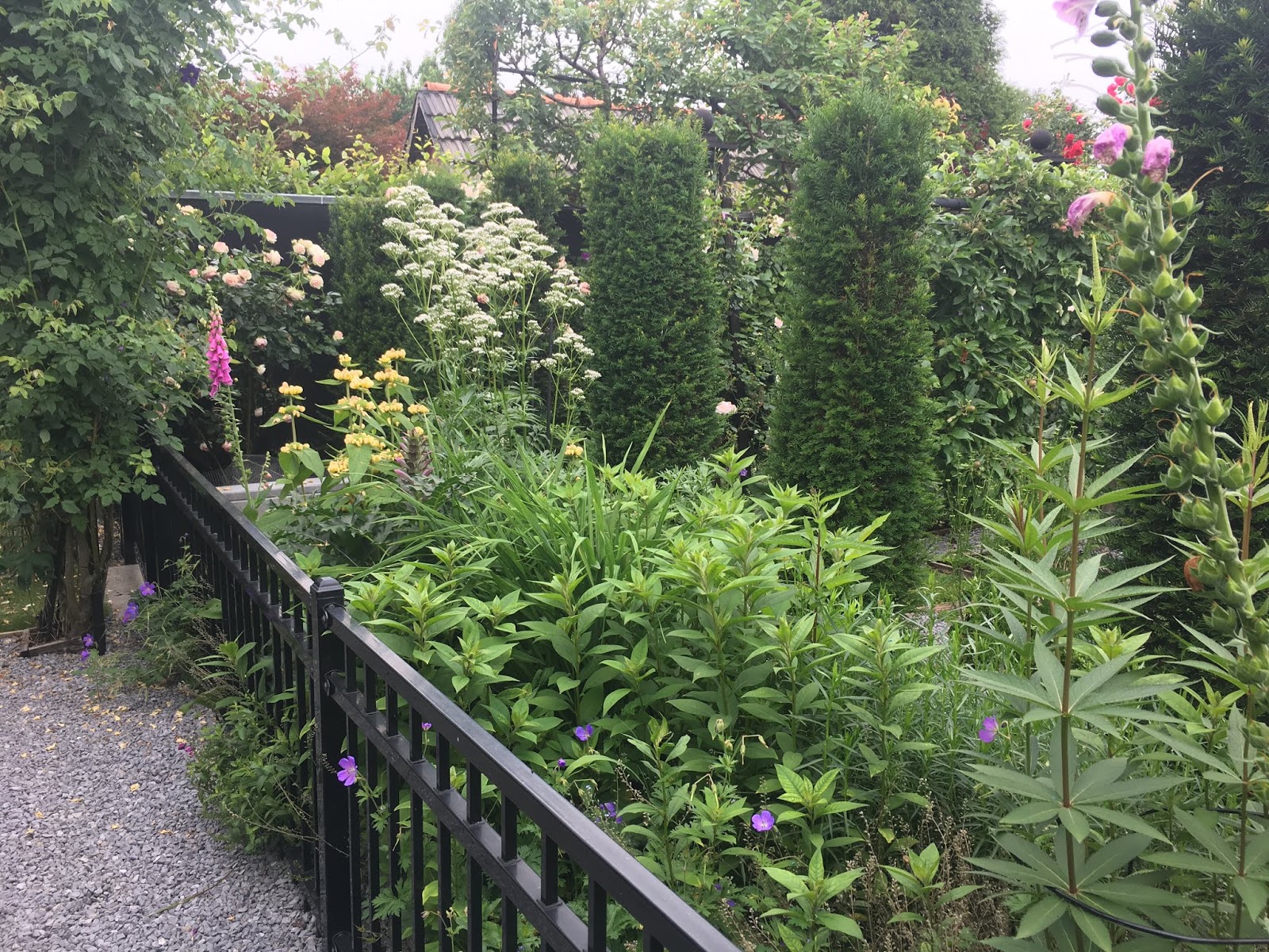 Potagerie in Maastricht 07.06.2018 English boarder....