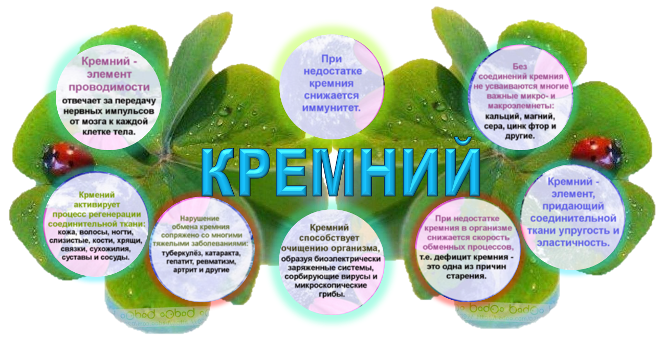 КРЕМНИЙ ОМОЛАЖИВАЕТ КОЖУ И КРЕМНИЙ НА ПОДОКОННИКЕ У КАЖДОГО 30 декабря 2017 г. -