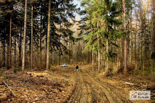 Wrona (458 m n.p.m.) - Wzgórza Bielawskie