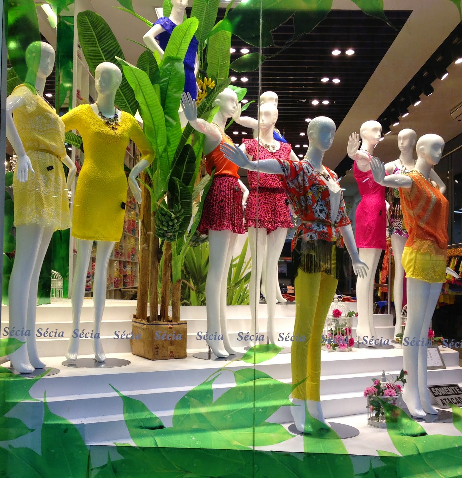 VITRINES E TENDÊNCIAS PRIMAVERAVERÃO 2015 Xênia