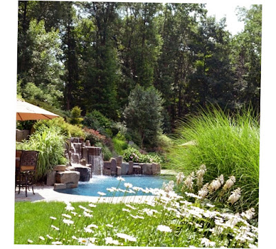 Cipriano Landscape Design Picture Preview With Beautiful Plants and Trees Picture Preview