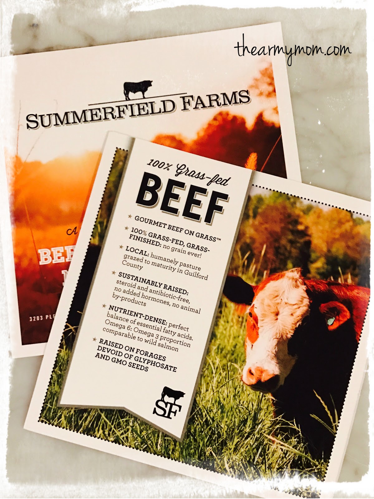 From Captain's Daughter to Army Mom Got to be NC Beef Hearty Chili