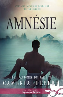 https://lachroniquedespassions.blogspot.com/2018/10/les-fantomes-du-passe-tome-1-amnesie-de.html