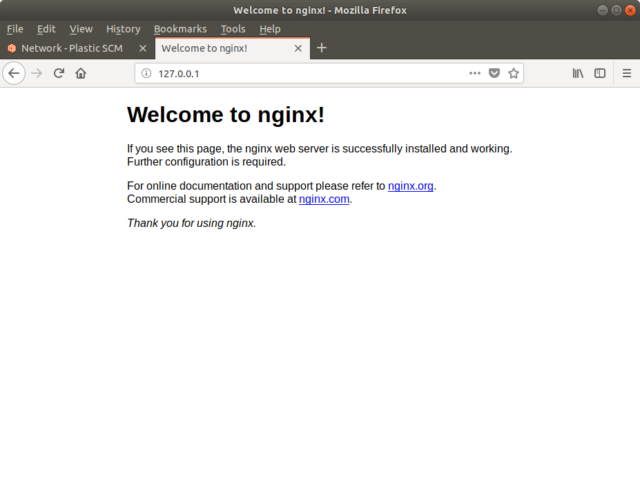 A clean NGINX install running on its default port