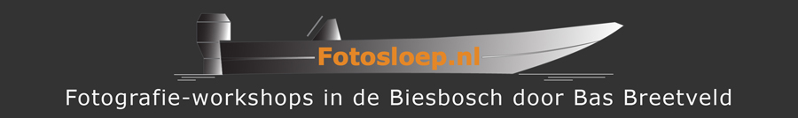 Fotosloep.nl  blogspot | fotografie in de Biesbosch