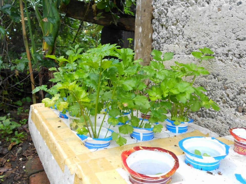 Panduan Bertanam Hidroponik: Peralatan Menanam Hidroponik