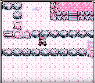 Pokemon Edición Roja - Camino fuxia