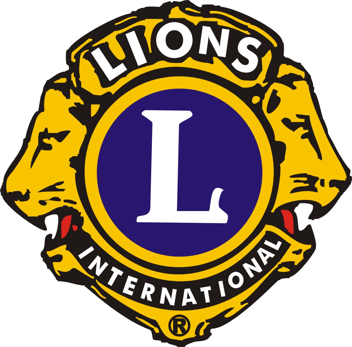 The LIMA Airshow A TOUCH OF CHARITY AND HUMANITY the JB LIONS CLUBS