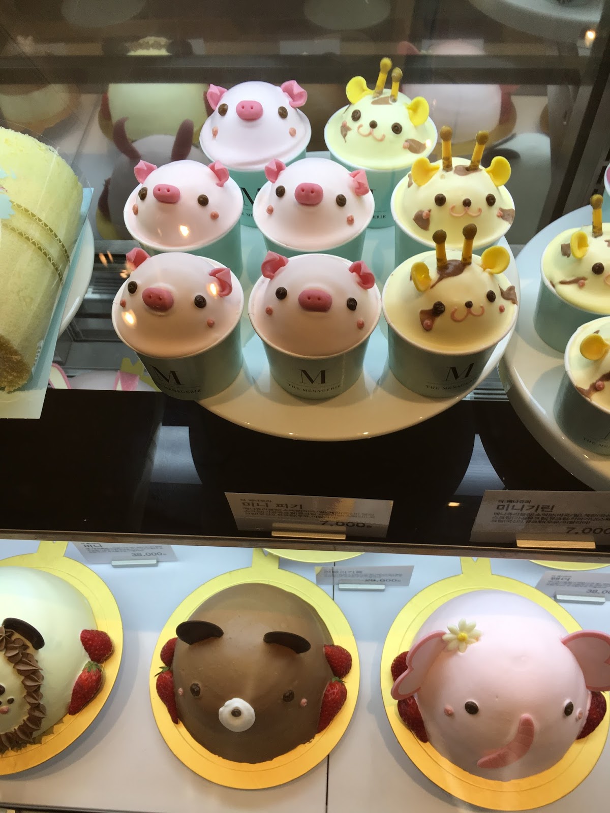 The Menagerie Cupcakes Seoul, South Korea Travel is my favorite Sport