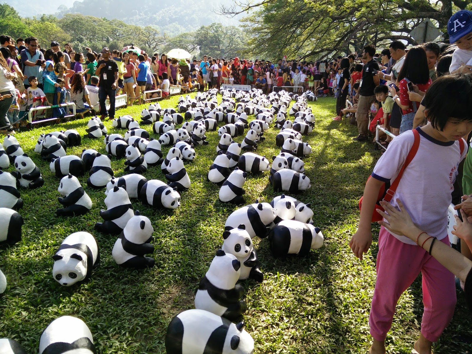 Panda World Cup | ipanda.com DE