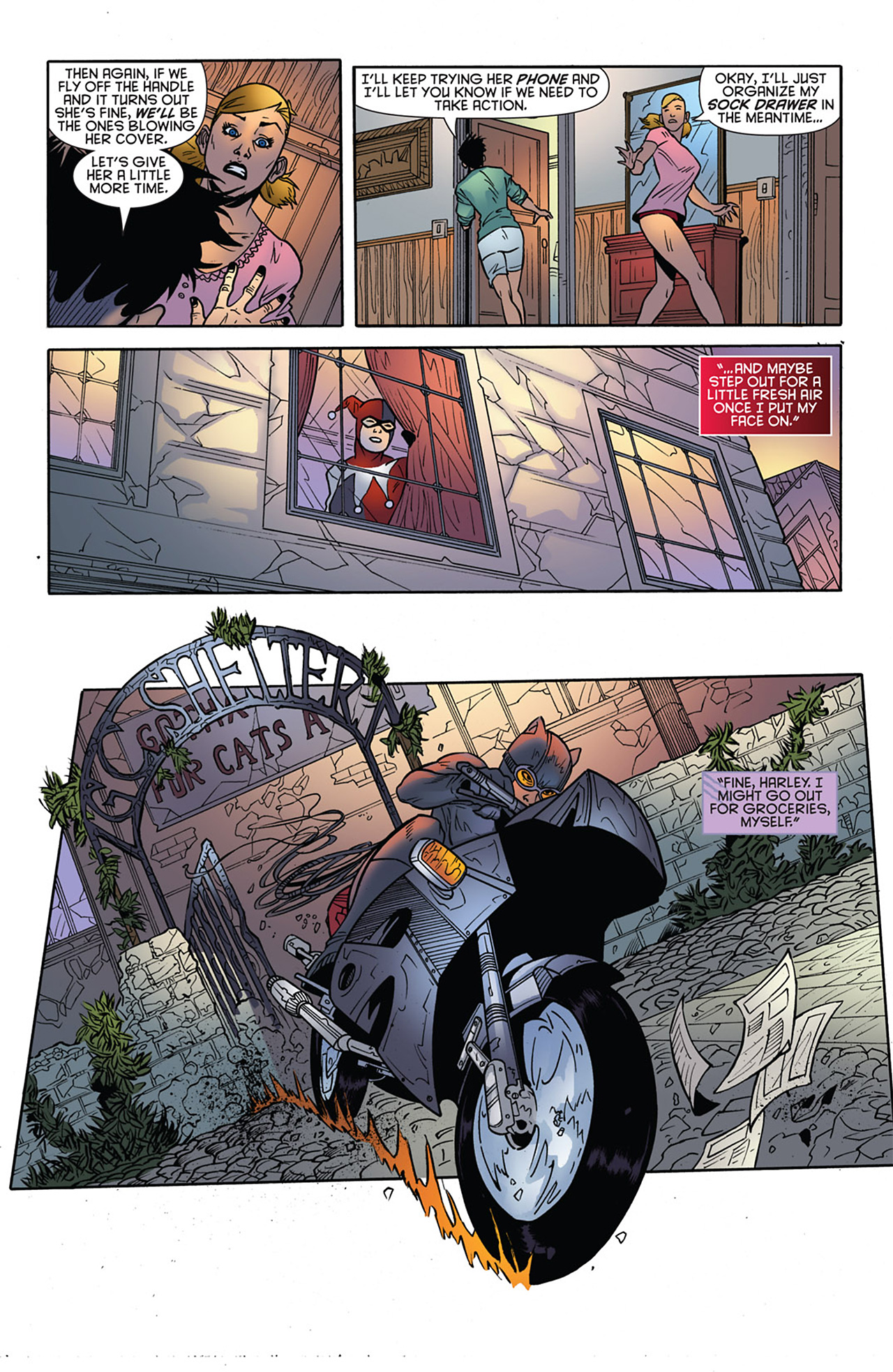 Read online Gotham City Sirens comic - Issue #14 - 9