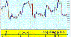 Wt trader forex