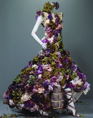 Anobano's Blog: ALEXANDER MCQUEEN: SAVAGE BEAUTY