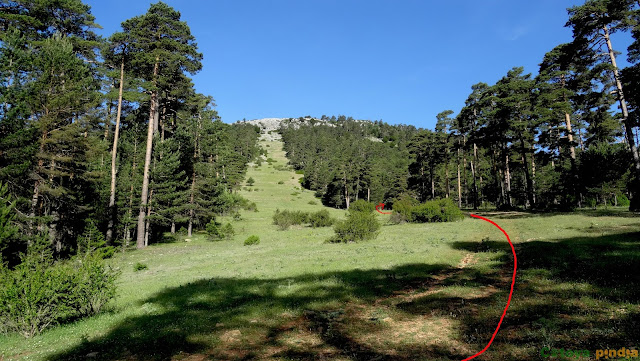 Ruta al Cerro Mogorrita, techo de Cuenca en la Sierra de Valdeminguete, en la Serranía de Cuenca.