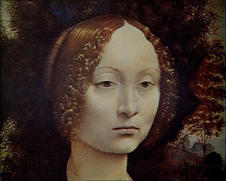 L'Alligatographe Le miroir L'Alligatographe Le miroir