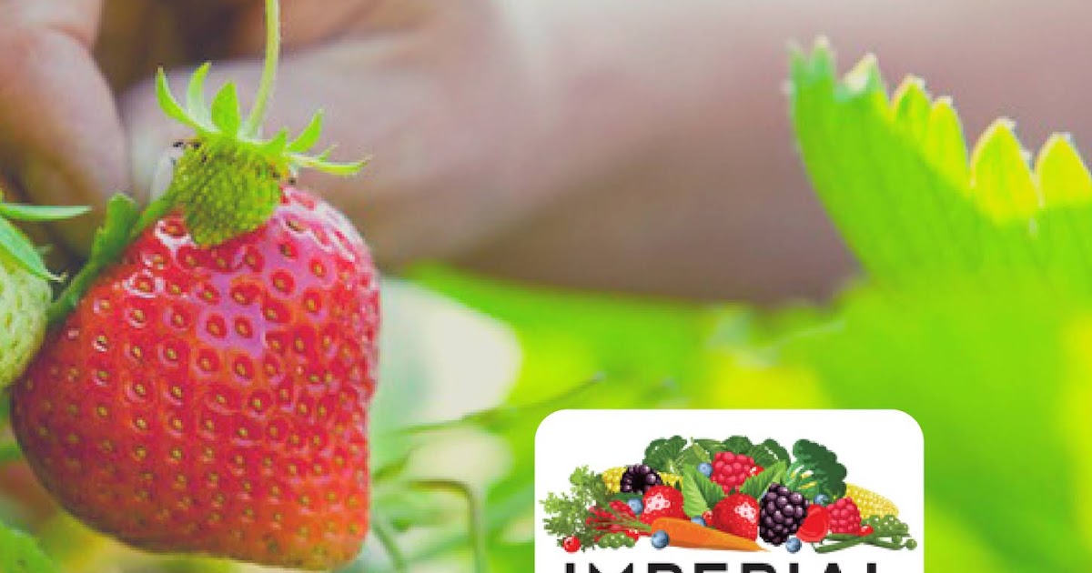 Imperial Frozen Foods