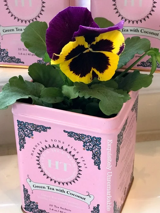 Tea Tin Planters with pansies inside