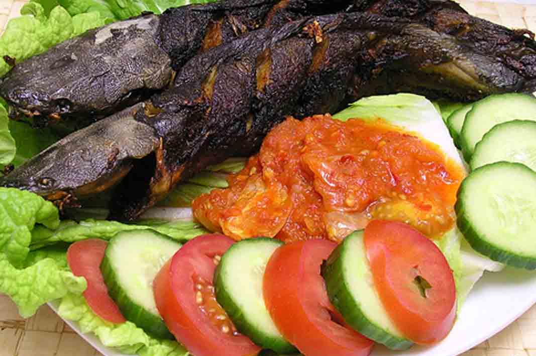 A Ton Benefits of Catfish For You, Your Family, And Everyone Healthy