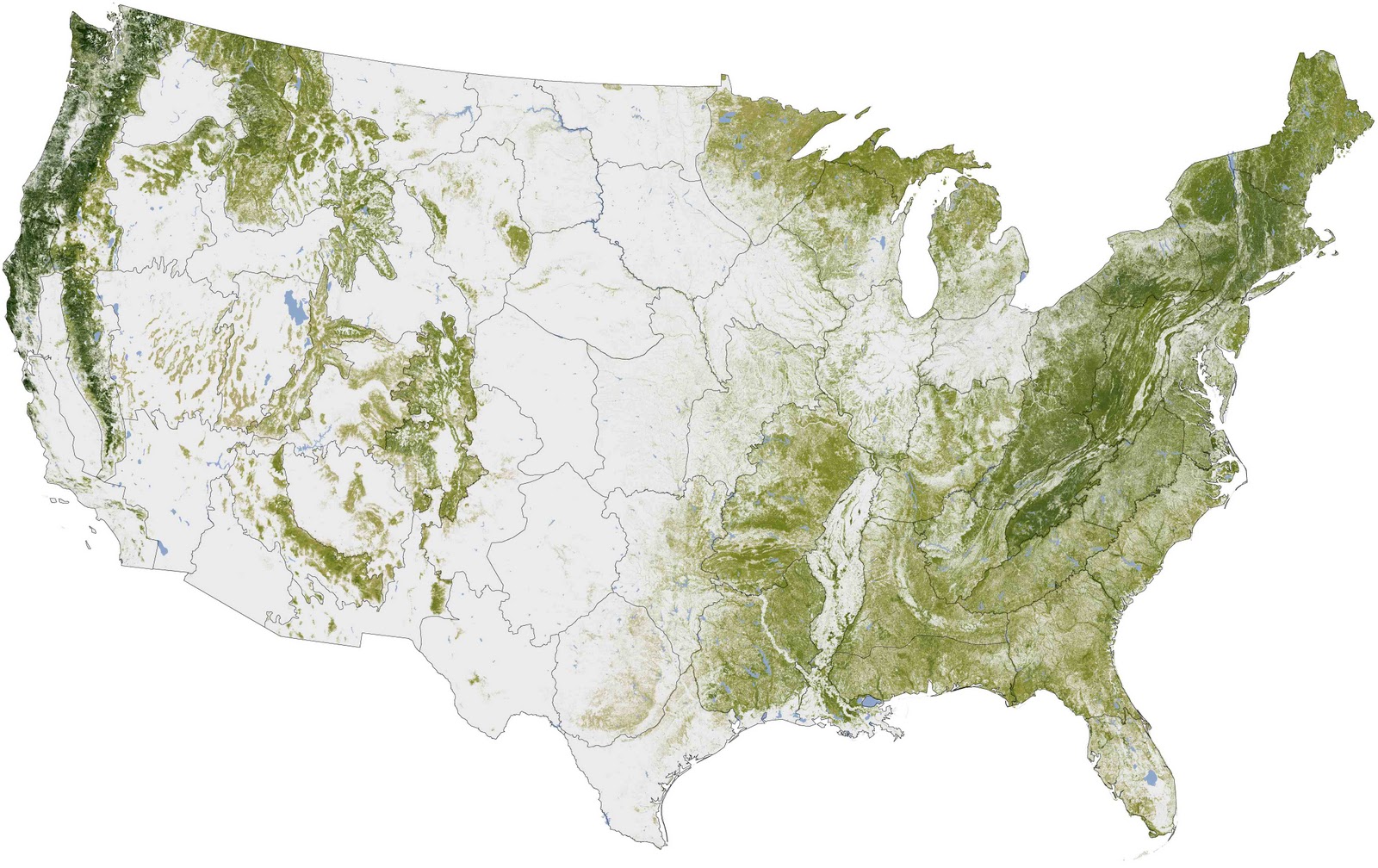 TYWKIWDBI ("TaiWikiWidbee") Distribution of trees in the United States