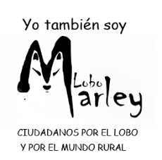 Lobo Marley