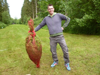 Christmas Tree Throwing Competition at the Yattendon & Frilsham Fete