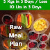 Lose Weight Fast / Lose 5 Kgs in 3 Days / Lose 10 Lbs in 3 Days / Raw Meal Plan